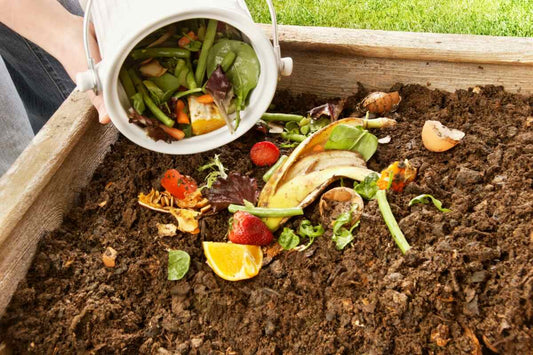 DIY Compost and Coir